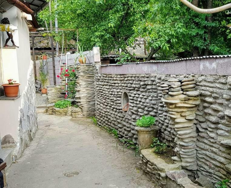 Rudolf Apartment Borjomi ภายนอก รูปภาพ
