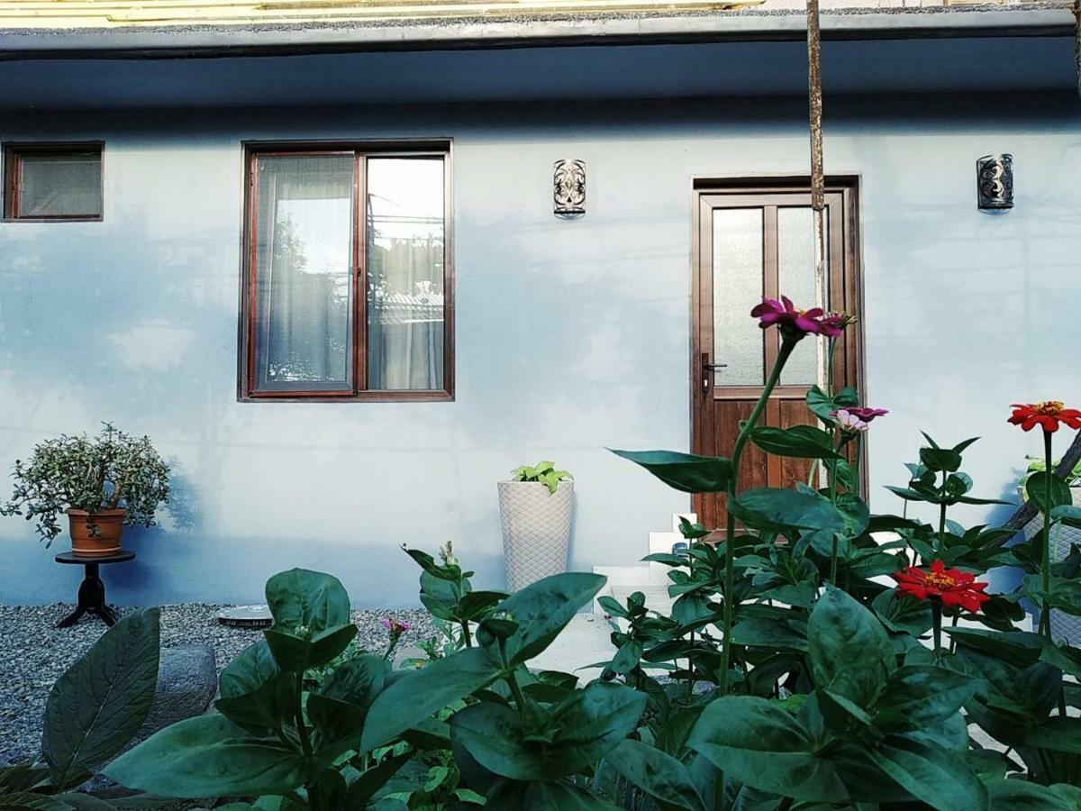 Rudolf Apartment Borjomi ภายนอก รูปภาพ